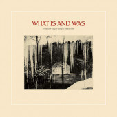 Paula Frazer And Tarnation - What Is And Was (Edice 2019) - Vinyl