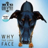 Big Country - Why The Long Face (RSD 2024) - Limited Vinyl