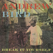 Andrew Bird - Break It Yourself (2012) – Vinyl 