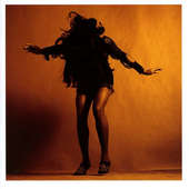 Last Shadow Puppets - Everything You've Come To Expect/Vinyl 