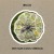 Wilco - Hot Sun Cool Shroud (EP, 2024) - Vinyl
