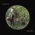 Hackedepicciotto - Lichtung (2026) - Limited Vinyl