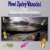 Various Artists - Nové zpěvy vánoční aneb Štědrý den Dona Quijota VANOCNI