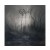 Opeth - Blackwater Park (Limited Edition 2021) - Vinyl