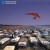 Pink Floyd - A Momentary Lapse Of Reason (Remixed & Updated) /Edice 2021, Vinyl