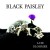 Black Paisley - Late Bloomer (2017) 