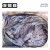 SBB - Live Cuts: Wien 1978 (2025)