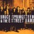 Bruce Springsteen & The E Street Band - Greatest Hits (2009) 