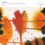 Sunroof - Electronic Music Improvisations Vol. 1 (Limited Edition, 2021) - Vinyl