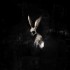 Ghostkid - Follow The White Rabbit (2026) - Limited Vinyl