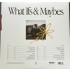 Tom Grennan - What Ifs & Maybes (RSD 2024) - Limited Vinyl