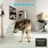 Grinderman - Grinderman 2 (Edice 2025) - Vinyl