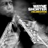 Wayne Shorter - Celebration, Volume 1 (2024) - Vinyl