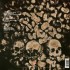 Slayer - Undisputed Attitude (Edice 2013) - Vinyl