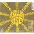 Ziggy Marley - Rebellion Rises (2018)