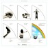 Gentle Giant - In'terview (Steven Wilson Remixed, Edice 2023) - Vinyl