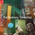 Pat Metheny - MoonDial (2024) - Vinyl