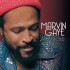 Marvin Gaye - Collected (Limited Edition 2026) - 180 gr. Vinyl