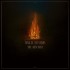 Wailin' Storms - Arsonist (2026) /Limited Digipack