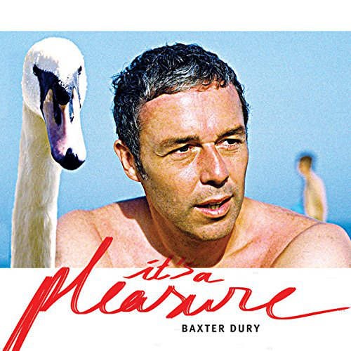 Baxter Dury - It's a Pleasure /Digipack (2014) 