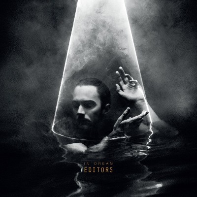 Editors - In Dream/Vinyl (2015) 