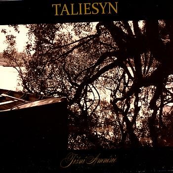 Taliesyn - Jižní Amnésie 