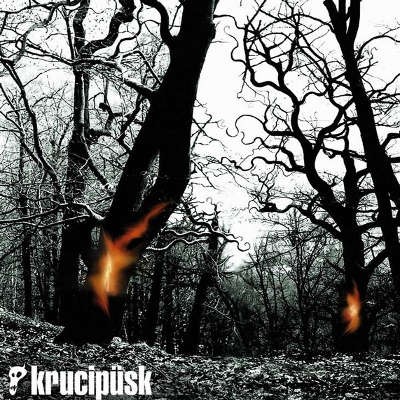 Krucipüsk - Druide! (2004) 