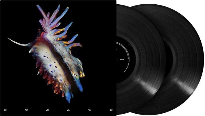 Sub Focus - Evolve (2023) - 180 gr. Vinyl