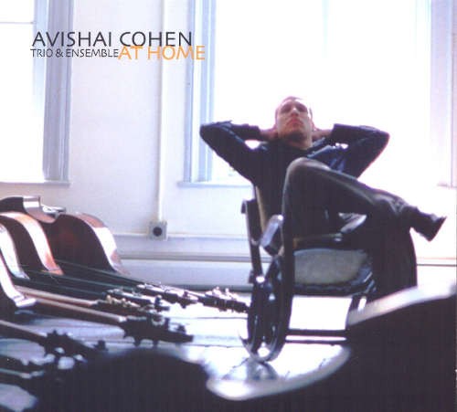 Avishai Cohen Trio & Ensemble - At Home (2012) 