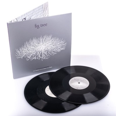 Przemyslaw Straczek - Fig Tree (2021) - Vinyl