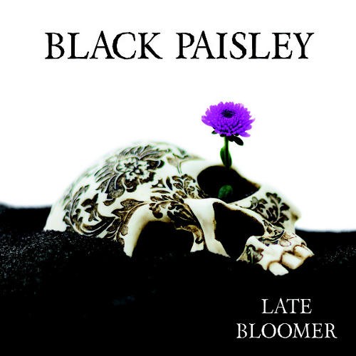 Black Paisley - Late Bloomer (2017) 