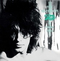 Waterboys - A Pagan Place - 180 gr. Vinyl 