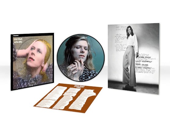 David Bowie - Hunky Dory (Limited Picture Vinyl, Edice 2022) - Vinyl