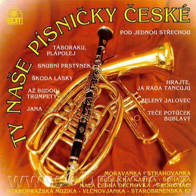 Various Artists - Ty naše písničky české (2000)