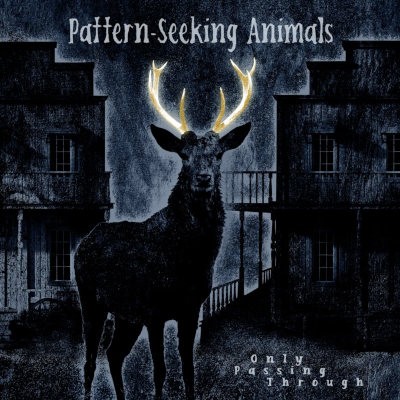 Pattern-Seeking Animals - Only Passing Through (2022) /2LP+CD