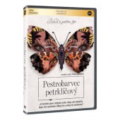 Film/Drama - Pestrobarvec petrklíčový 