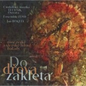 CM Technik & Ensemble Flair - Do dřeva zakletá (2022) /Digipack