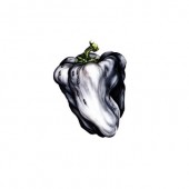 Ween - White Pepper (Edice 2026) - Limited Vinyl