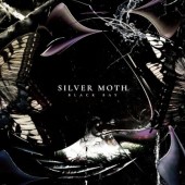 Silver Moth - Black Bay (2023) - Vinyl