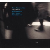 John Abercrombie - Cat 'N' Mouse (2002) 