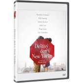 Film/Drama - Deštivý den v New Yorku 