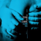 Bjorn Riis - A Storm Is Coming (2019)