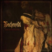 Wachenfeldt - Interpreter (2019)
