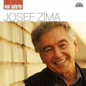 Josef Zíma - Pop galerie (2007) 