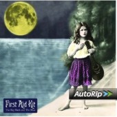 First Aid Kit - Big Black and Blue (2013) 