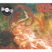 Morbid Angel - Blessed Are The Sick (Reedie 2019)