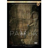 Film/Dokument - Pavol Barabáš: Pavúk (DVD, 2018)