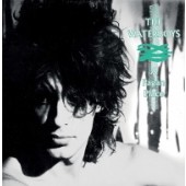 Waterboys - A Pagan Place - 180 gr. Vinyl 