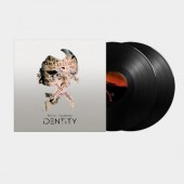 Nitin Sawhney - Identity (2023) - Vinyl