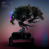 Haelos - Any Random Kindness (2019) - Vinyl